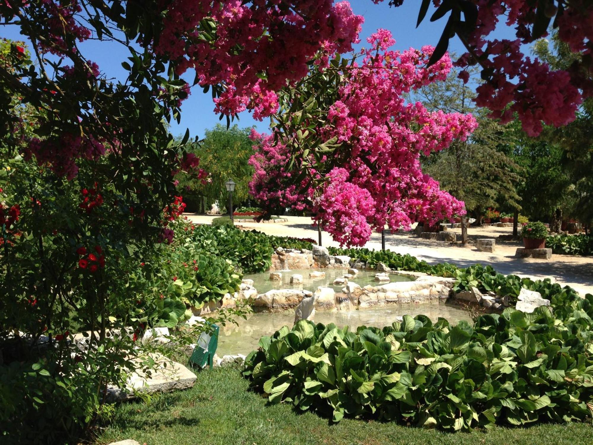 Otium Country House Alvorge Esterno foto