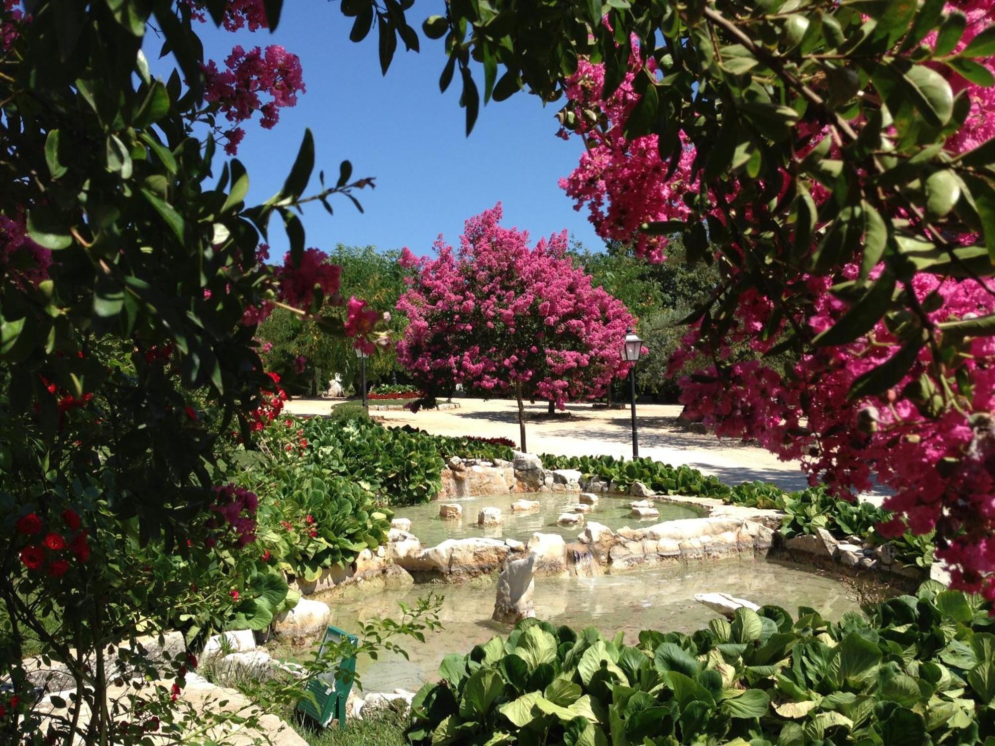 Otium Country House Alvorge Esterno foto