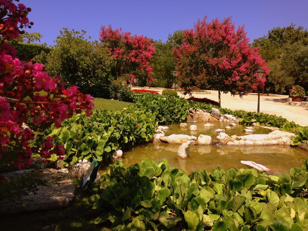 Otium Country House Alvorge Esterno foto