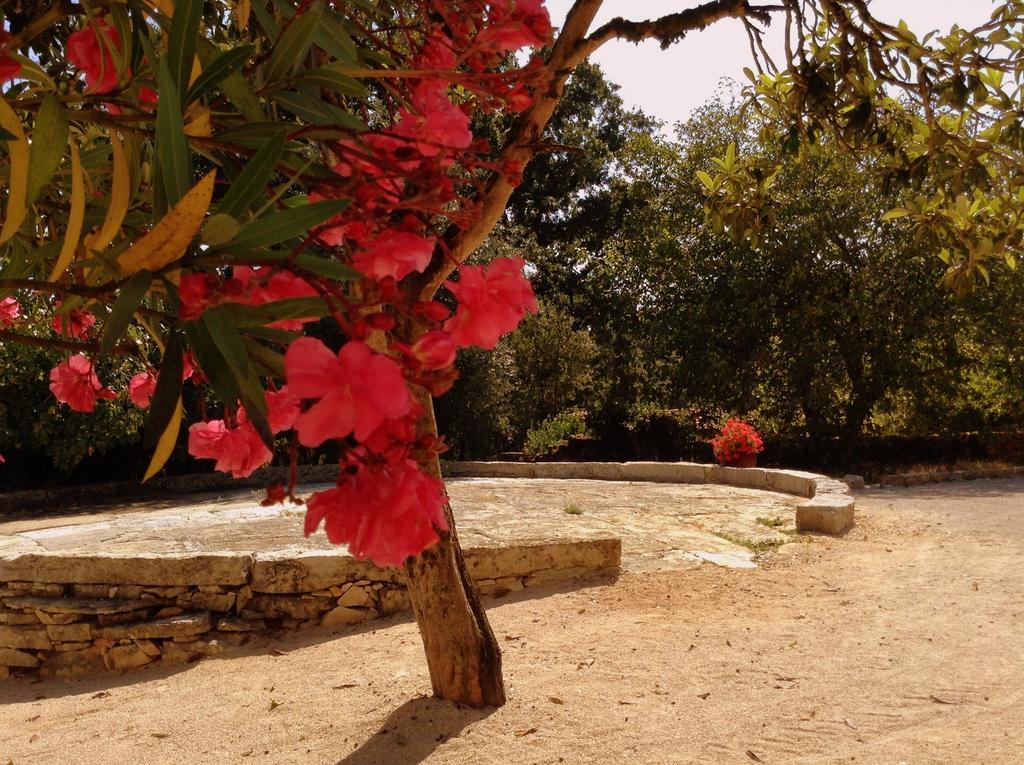 Otium Country House Alvorge Esterno foto