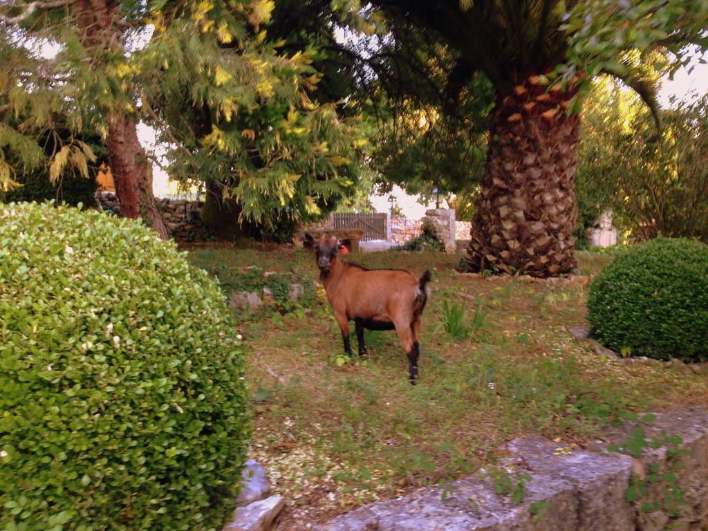 Otium Country House Alvorge Esterno foto